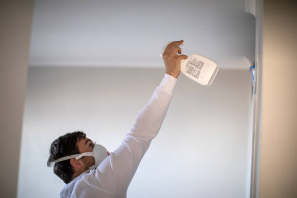 Best Professional Mold Removal  in Berry College, GA